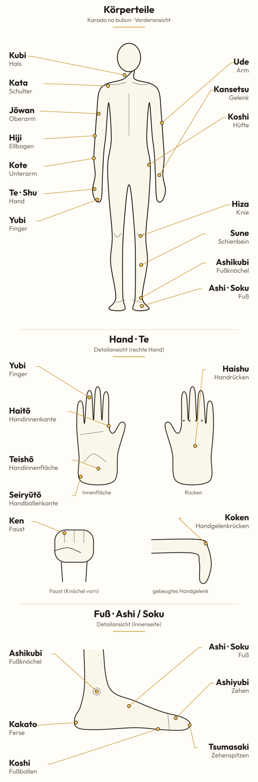 Anatomische Übersicht der Körperteile im Karate: Vorderansicht mit japanischen Begriffen (Kubi, Kata, Hiji, Hiza, Sune u. a.) sowie Detailansichten von Hand (Haitō, Teishō, Seiryūtō, Haishu, Ken, Koken) und Fuß (Kakato, Koshi, Tsumasaki, Ashiyubi)